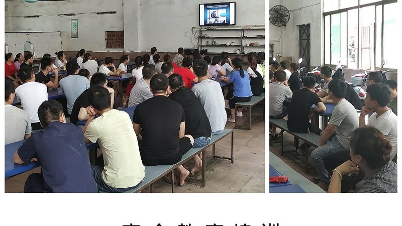 在线教育细分行业：揭秘多样化的学习领域